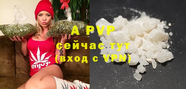 PSILOCYBIN Барнаул