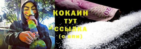 мдпв Ижевск