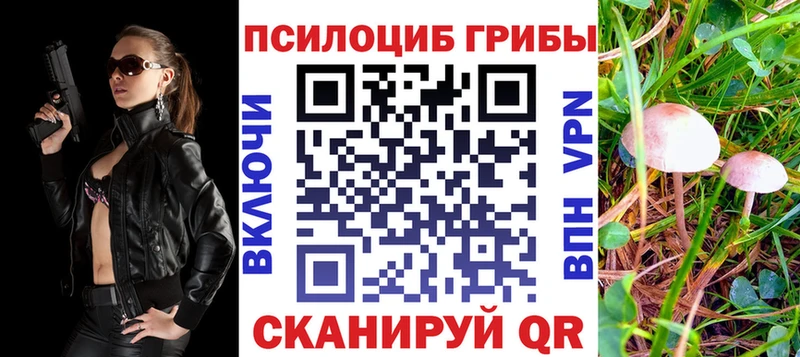 Галлюциногенные грибы прущие грибы  Самара 
