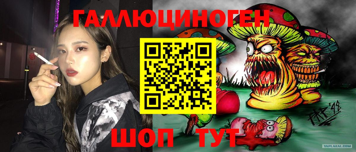 Самара  Псилоцибиновые грибы Cubensis  Вход с VPN 