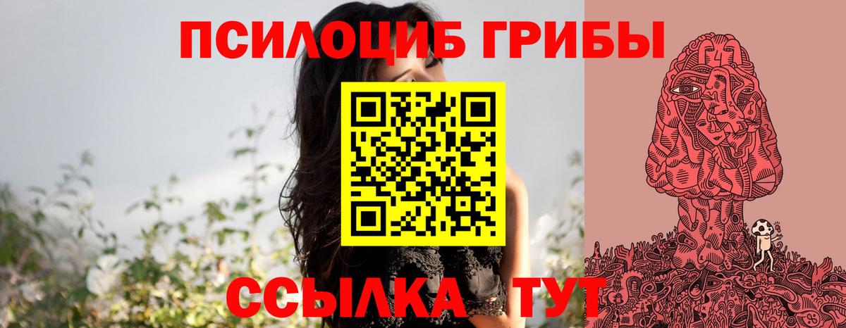 Галлюциногенные грибы Cubensis Самара